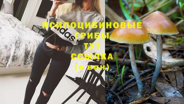 каннабис Армянск